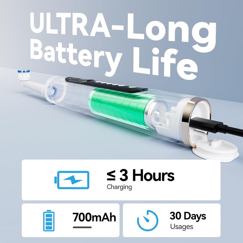 Seago Rotating Electric Toothbrush for Adults with 8 Brush Heads, 5 Cleaning modes, Rechargeable Electric Toothbrush with Timer and Travel Case for Adults and Kids - Image 5