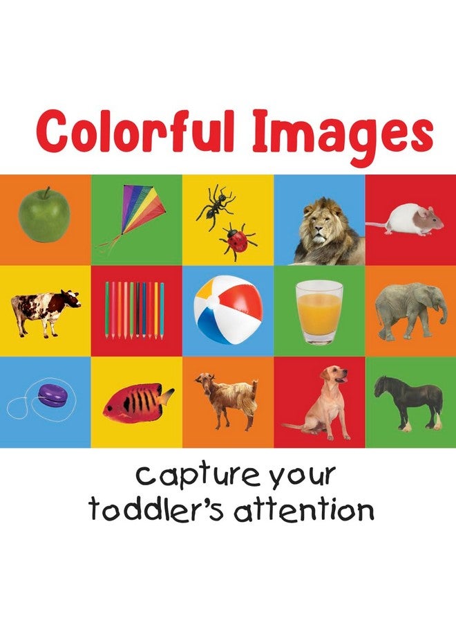 Briarpatch, First 100 Alphabet Matching Card Game, Based On Board Books by Roger Priddy, Preschool Learning for Kids - Image 3