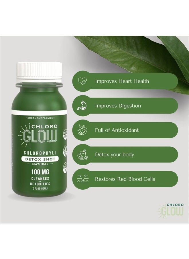 Liquid Chlorophyll Detox Shots | All Natural and Organic Plant Based Drink to Boost Energy and Straighten Your Immune System | Internal Deodorant, Cleanses and Detoxifies (12 pack)