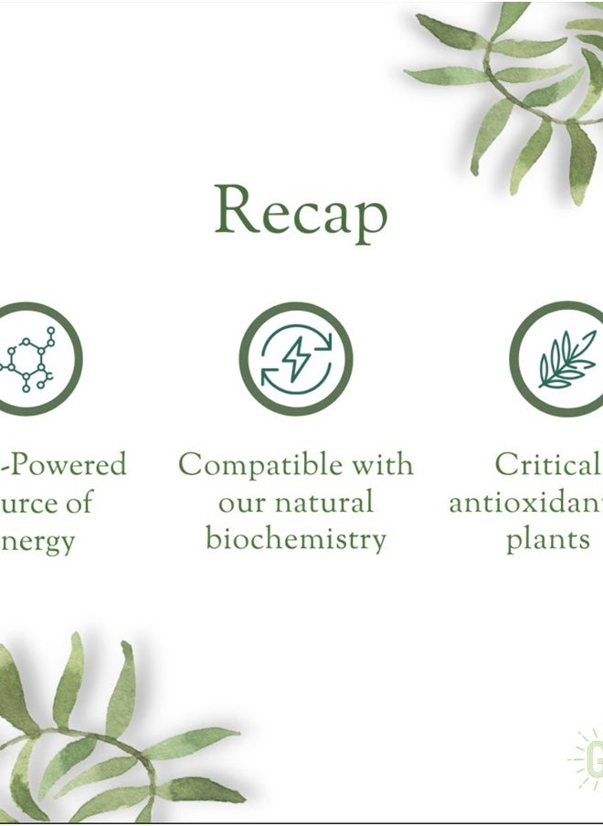 Liquid Chlorophyll Detox Shots | All Natural and Organic Plant Based Drink to Boost Energy and Straighten Your Immune System | Internal Deodorant, Cleanses and Detoxifies (12 pack)