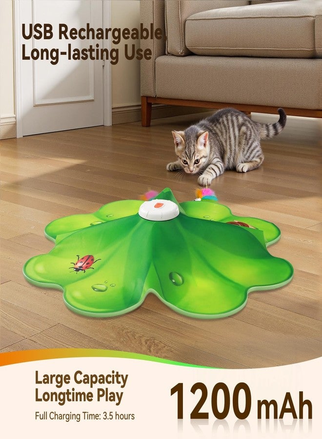 FEELNEEDY Cat Toy, Indoor Toy, Hide Toy for Kittens, Whack a Mole Motion, Electronic Cat Toy for Exercises - Image 4