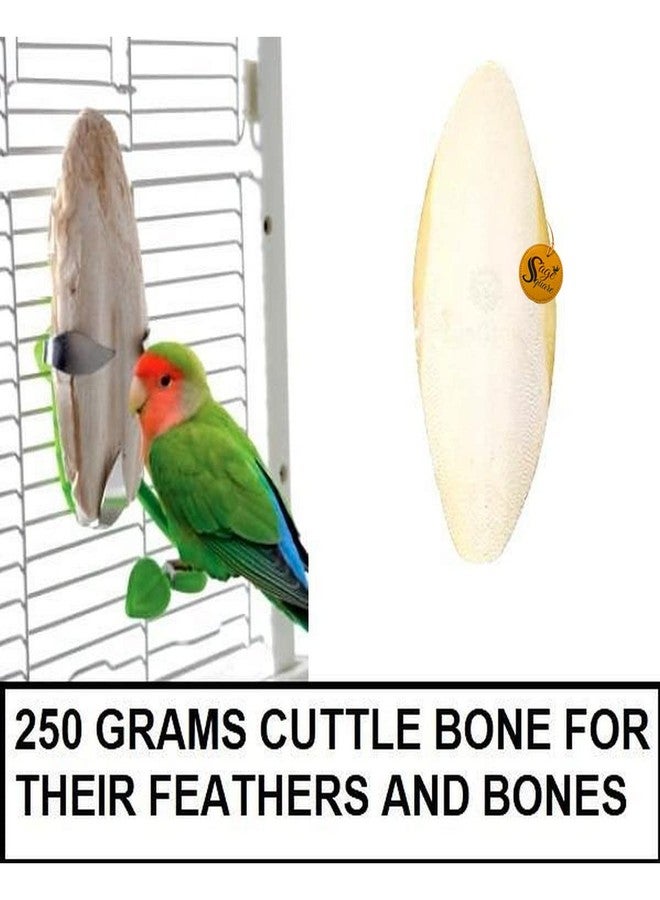Sage Square Pure Cuttle Fish Calcium Bone for Healthy Birds, Cockatiel, Budgies, Parrot, Grey, Finch, Java (250g) - Image 3