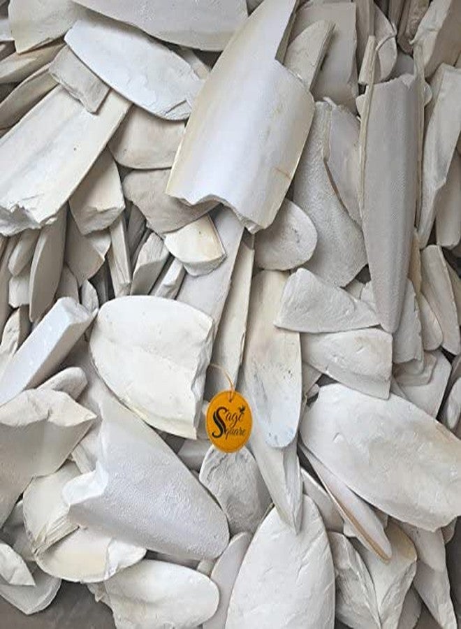 Sage Square Pure Cuttle Fish Calcium Bone for Healthy Birds, Cockatiel, Budgies, Parrot, Grey, Finch, Java (250g) - Image 4