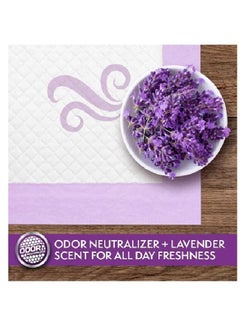 Pack Of 100 All Day Premium Lavender Scent Dog And Puppy Pads 58X60Cm - pzsku/ZFC51E736BB2D0715B673Z/45/_/1678111579/80476d61-d98f-4120-aa07-aefe95945d9b