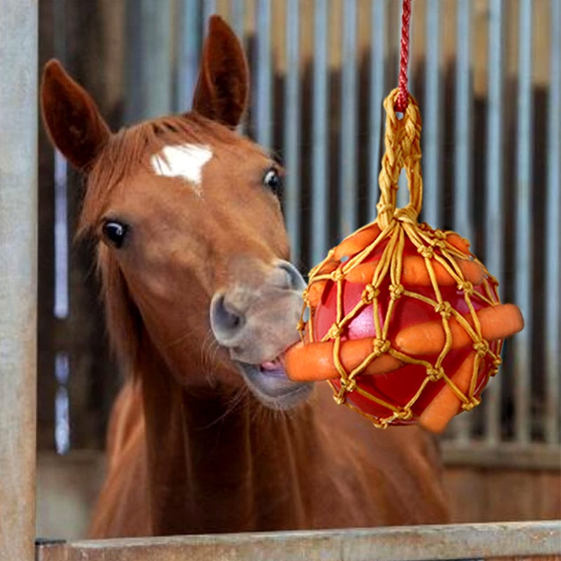 vomvomp Carrot Feed Toy Hanging Carrot Feeding Toy with Treat Ball for Horse Stable - Image 2