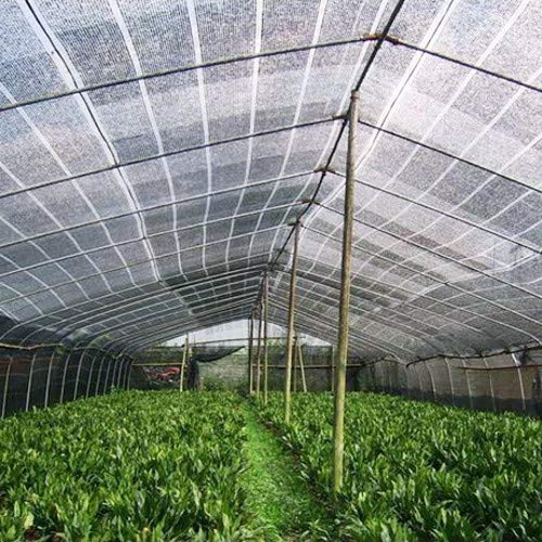 Divayanshi Bird Netting [Heavy Duty] Protect Plants and Fruit Trees, 10Ft x16Ft - Image 4