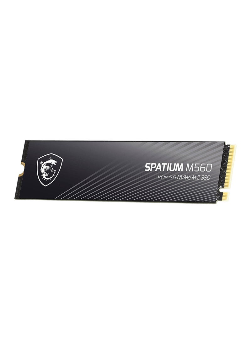 SPATIUM M560 PCIe 5.0 NVMe M.2 Internal SSD, 1TB Capacity, Up to 10200 MB/s Sequential Read & 8400 MB/s Sequential Write Speed, 600 TBW, 3D NAND Flash Memory 1 TB