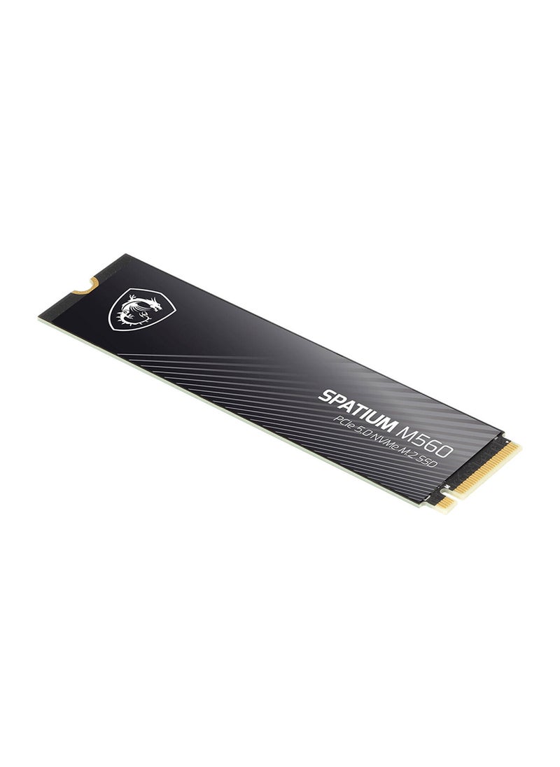 SPATIUM M560 PCIe 5.0 NVMe M.2 Internal SSD, 1TB Capacity, Up to 10200 MB/s Sequential Read & 8400 MB/s Sequential Write Speed, 600 TBW, 3D NAND Flash Memory 1 TB