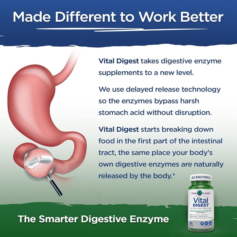 Vital Planet  Vital Digest Natural Digestive Enzymes Supports Breakdown of Proteins Fats and Carbohydrates and Reduces Occasional Gas Bloating and Indigestion 90 Capsules Packaging May Vary - Image 3