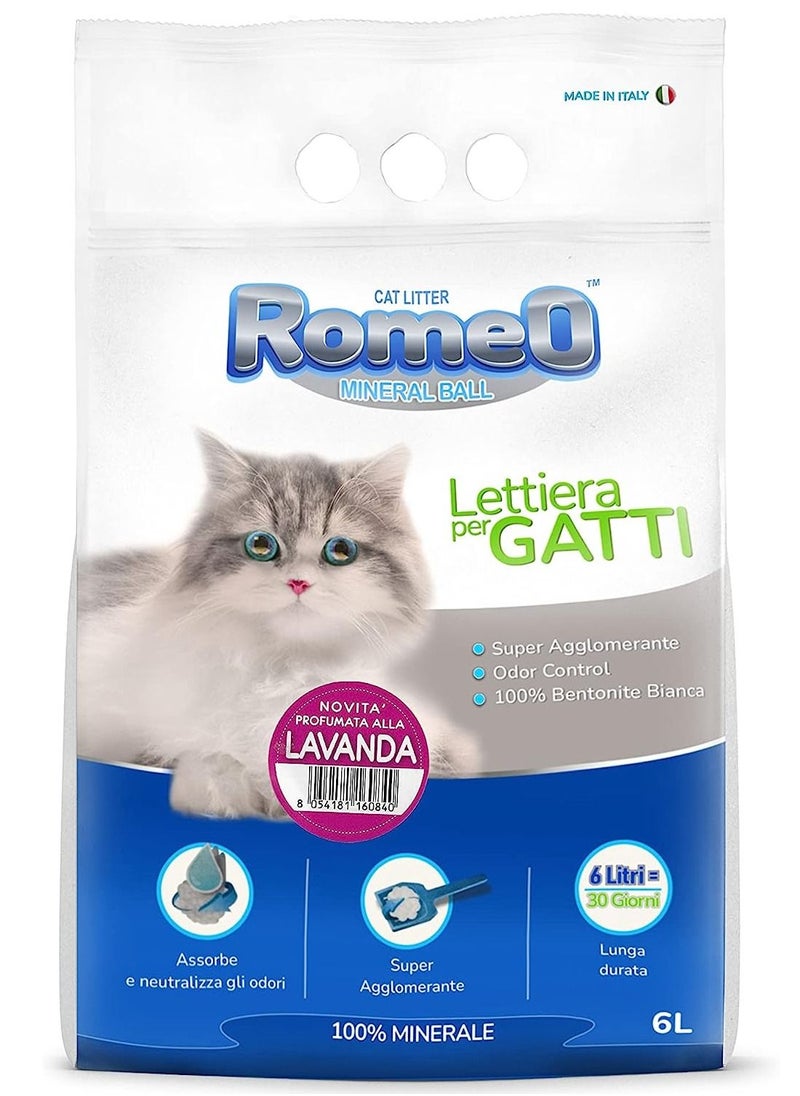 Cat Litter Mineral Ball Lavanda 6L - pzsku/ZFC571210345D6E54872CZ/45/_/1686212088/82cd5b0f-030a-4f93-a583-145f75f48593