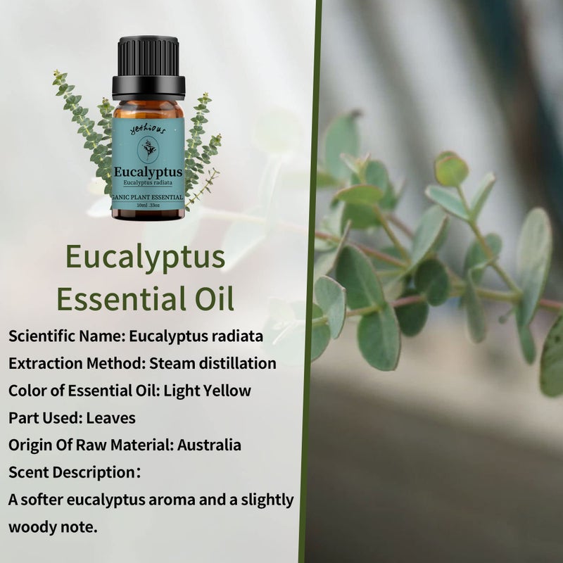 yethious Lavender Eucalyptus Essential Oil Organic Pure Plant Lavender Oil Essential Oil for Diffuser, Skin, Hair Care - Image 2