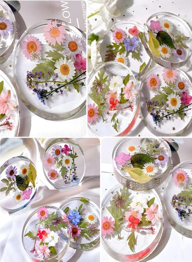 LeilieCSC 6-Cavity Round Silicone Coaster Mold for Resin Art,3.93 Inch Diameter Non-Stick DIY Epoxy Molds - Reusable Silicone Safe Coasters,Epoxy Resin,Flower Bouquet Preservation,Home Decor (Easy Release) - Image 4