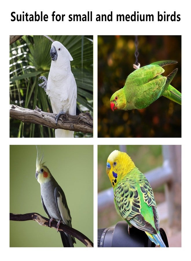 DVHEY Parrot Chewing Stopper Toy Stand Perches Lollipop Stick Bird Toy Intelligence and Emotions Wood Foraging Toys for Parrots Cage Accessory (Wood-Lollipop, 1 Pack) - Image 5