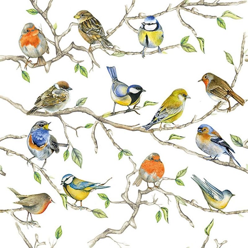 Assorted Bird Napkins for Decoupage - 12 Styles, 1 Each, 6.5 - Image 2