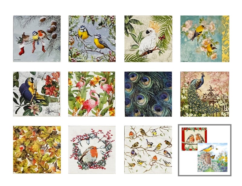 Assorted Bird Napkins for Decoupage - 12 Styles, 1 Each, 6.5 - Image 1