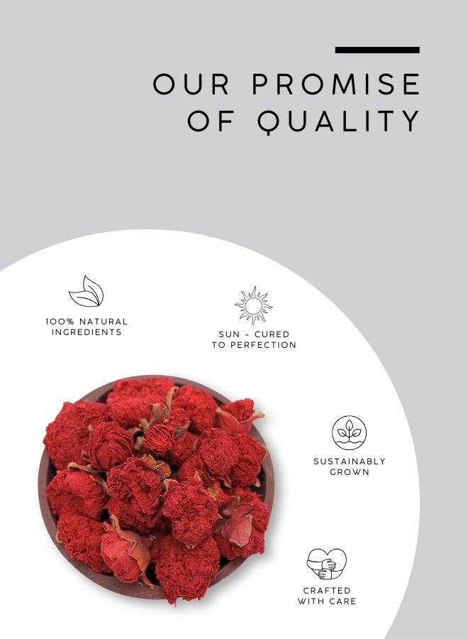 أباميك أزهار الرمان المجففة من أوافي ميل لشاي الأعشاب | مشروب زهري لاذع، بلون وردي ياقوتي | نباتي - 500 غرام | 17.6 أونصة - Image 4