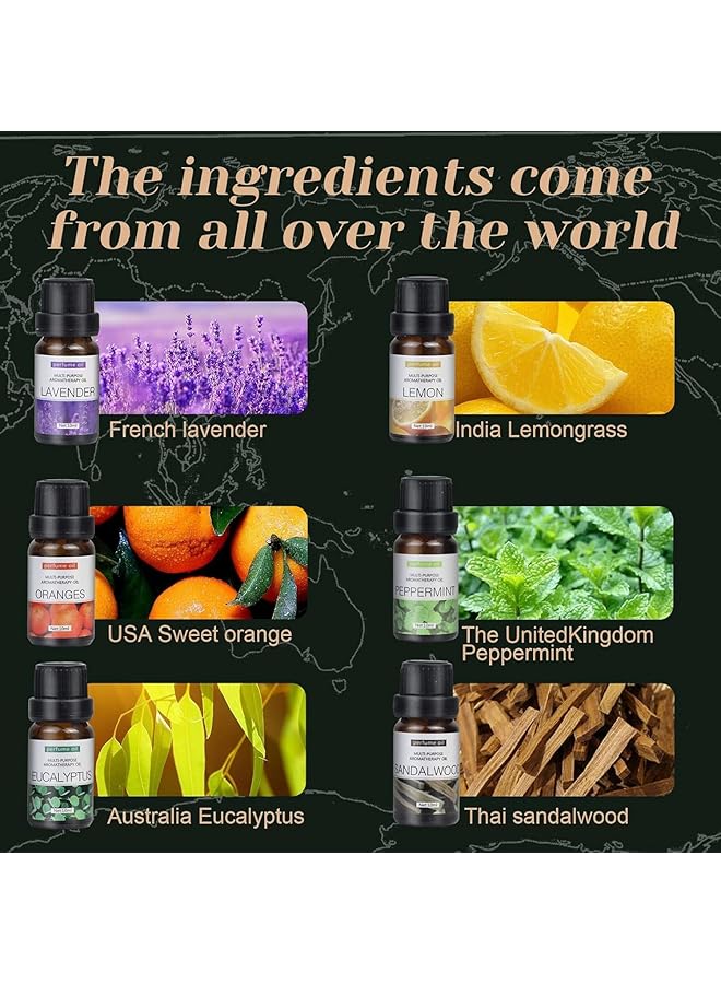 إيروريكس مجموعة من 6 زيوت عطرية نقية 100% من الدرجة الممتازة، 6 عبوات من خشب الصندل والبرتقال الحلو واللافندر والأوكالبتوس والليمون والنعناع، 10 مل - Image 2