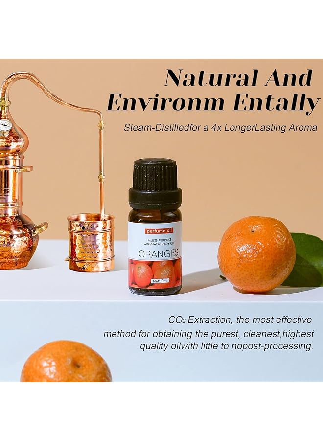 إيروريكس مجموعة من 6 زيوت عطرية نقية 100% من الدرجة الممتازة، 6 عبوات من خشب الصندل والبرتقال الحلو واللافندر والأوكالبتوس والليمون والنعناع، 10 مل - Image 4