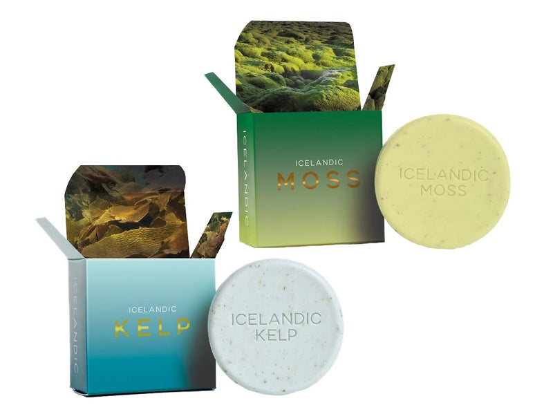 Kalastyle Exfoliating Bars of Soap From Natural Ingredients Assorted Scents  Icelandic Kelp and Moss Set of 2 43 Ounce Each