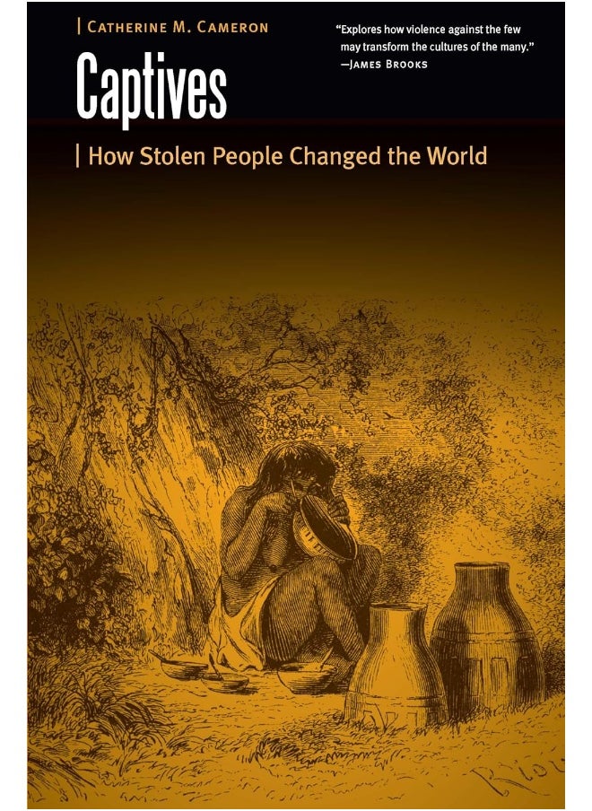 Captives: How Stolen People Changed the World 