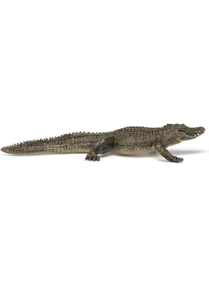 Papo Papo HandPainted  Figurine Wild Animal Kingdom  Alligator 50254 Collectible  for Children  Suitable for Boys and Girls from 3 Years Old  - Image 3
