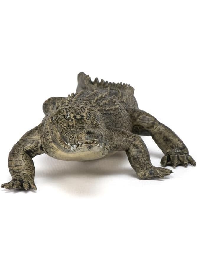 Papo Papo HandPainted  Figurine Wild Animal Kingdom  Alligator 50254 Collectible  for Children  Suitable for Boys and Girls from 3 Years Old  - Image 5