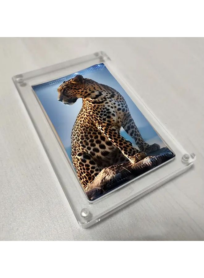 Acrylic Magnetic Card Holder Booster Pack Display Case With Bright Green Frame Heavy Duty Closure Clear Storage For Mtg Tcg Sports Graded Cards Collectors Dealers Home And Office Use - Image 5