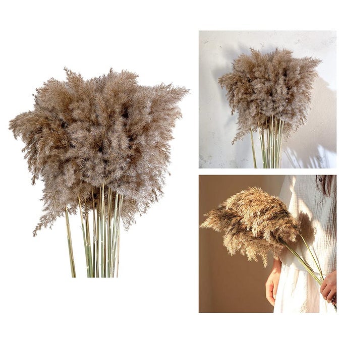10X NATURAL DRIED PAMPAS GRASS REED FLOWER BUNCH BOUQUET HOME DECOR 3040CM