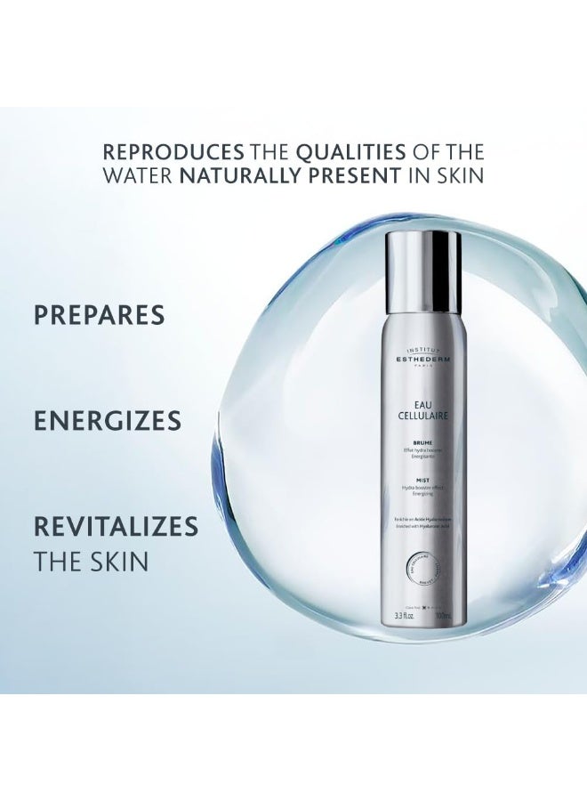 إستيديرم بخاخ ماء خلوي مضاد للأكسدة ومنعش للوجه من انستيتو استيديرم - 100 مل - Image 2