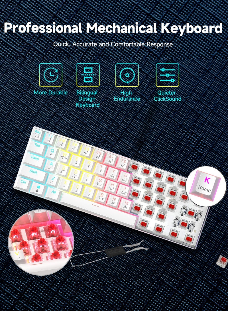 UCHUANG 60% Gaming Keyboard Red Switch and Mouse Combo, Ultra-Compact 61-Key RGB Backlit Mini Keyboard, Lightweight 7200 DPI Honeycomb Optical Mouse, RGB Wired Gaming Set for PC PS5 Xbox Gamer(White) - Image 4