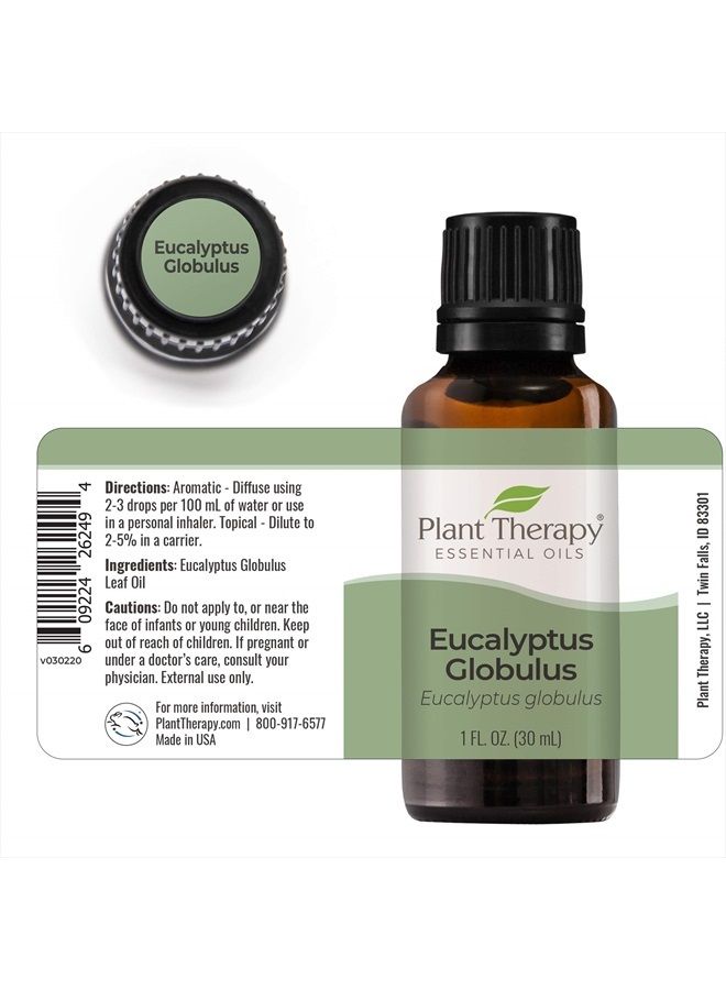 Plant Therapy Eucalyptus Globulus Essential Oil 30 mL (1 oz) 100% Pure, Undiluted, Therapeutic Grade - Image 4
