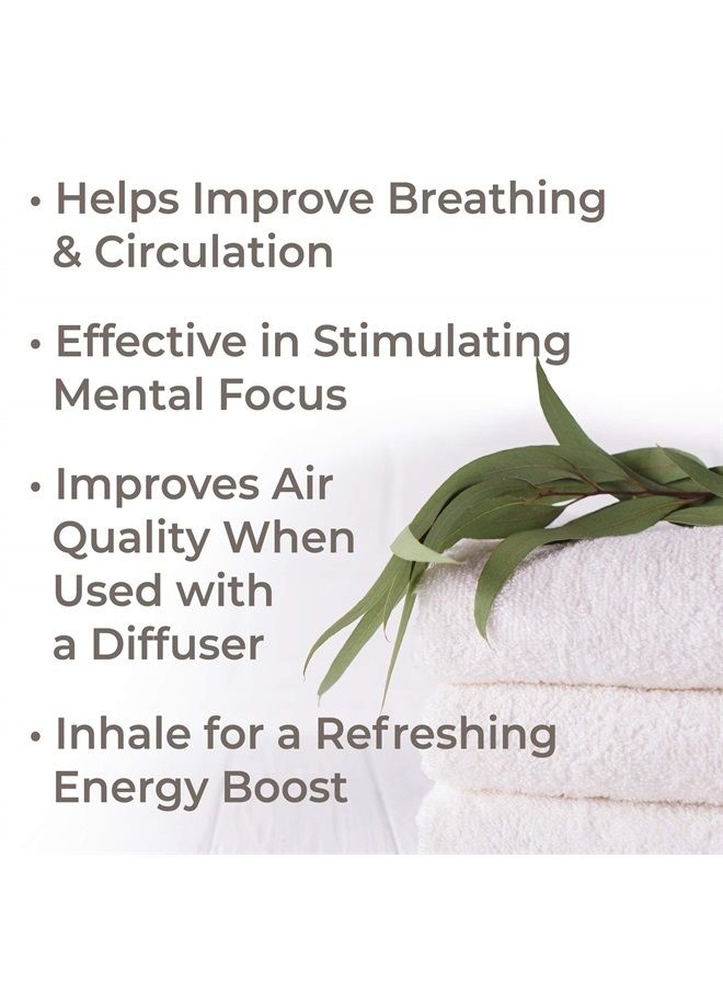 Plant Therapy Eucalyptus Globulus Essential Oil 30 mL (1 oz) 100% Pure, Undiluted, Therapeutic Grade - Image 2