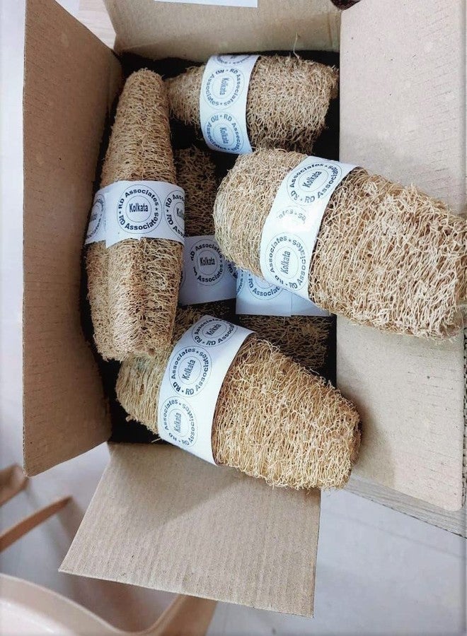 rdassociates ® Premium Natural Eco-Friendly Shower Loofah Sponge - Large Exfoliating Body Scrubber | Reusable | Loofah for Women | Great Gift for Family(pack of 6) - Image 3
