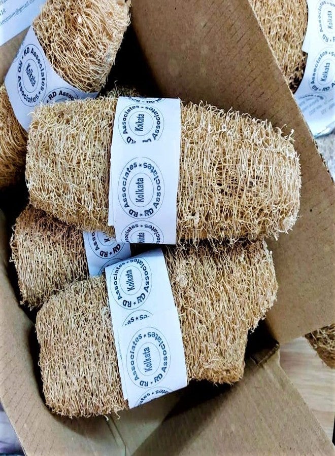 rdassociates ® Premium Natural Eco-Friendly Shower Loofah Sponge - Large Exfoliating Body Scrubber | Reusable | Loofah for Women | Great Gift for Family(pack of 6) - Image 2