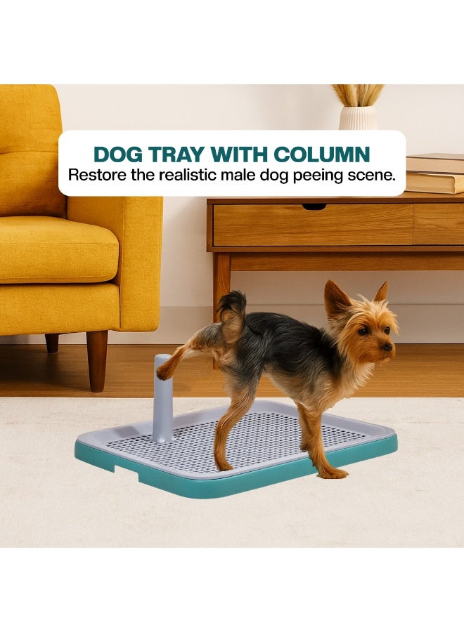 أن ان سي بيتس صينية تدريب الكلاب على استخدام المرحاض للكلاب الصغيرة والمتوسطة، حامل بلاستيكي لوسادة التبول للكلاب مع عمود دليل التبول، تصميم شبكي، وتصميم محمول، مثالي للاستخدام الداخلي/الخارجي، 51 سم (أخضر) - Image 5