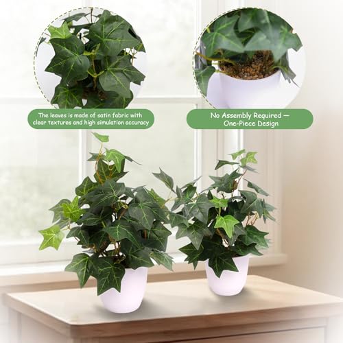 alyptus Fake English Ivy Plants in Pots Set of 2 – Realistic Artificial Ivy Greenery for Home Decor, Tabletop, Office, Shelf, Balcony or Bathroom - Green with White Pots - Image 3