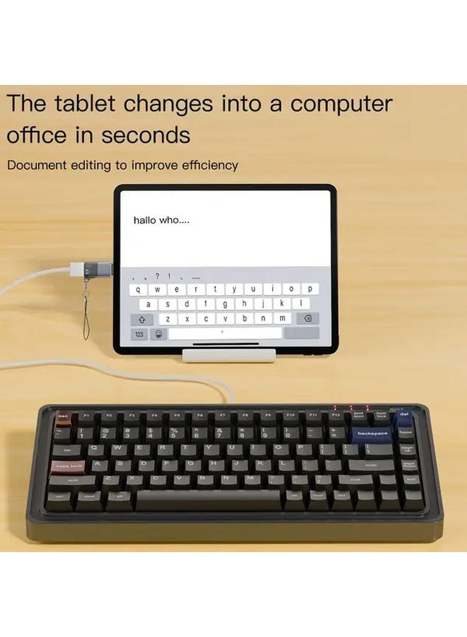 Type C Female To Lightning Adapter For iPhone Charging Data Transfer Music Playback - Image 5