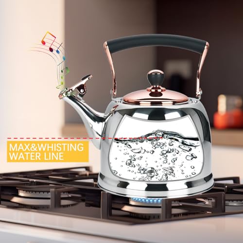 Lazneyru Tea Kettle Stainless Steel Teapot Stainless Steel Teakettle for Stove Top with Heat Proof Ergonomic Handle 30 Quart - Image 3