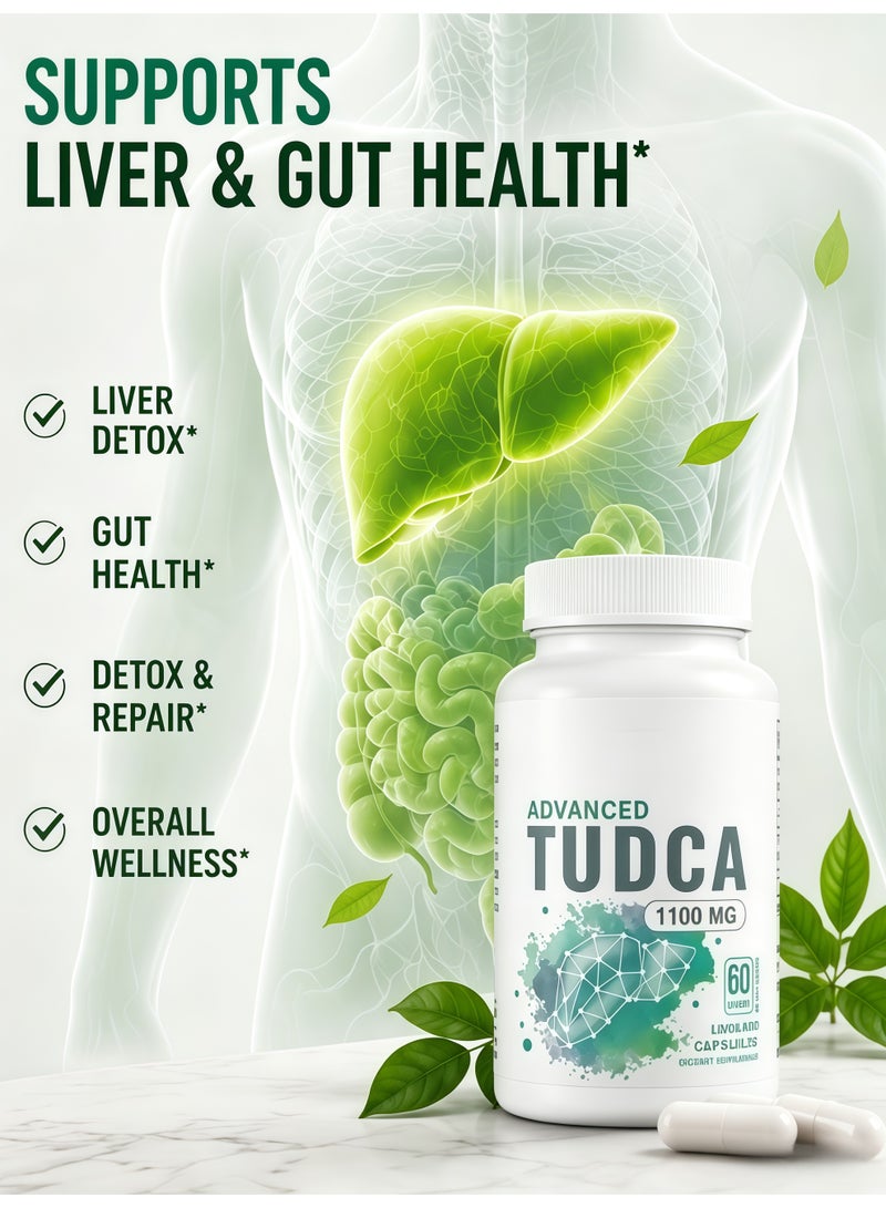 Ocean Advanced TUDCA 1100mg 60 Capsules, Liver Cleansing Capsules 30 Day Supply, Support Liver and Gut Health, Detox and Repair, Dietary Supplement - Image 3
