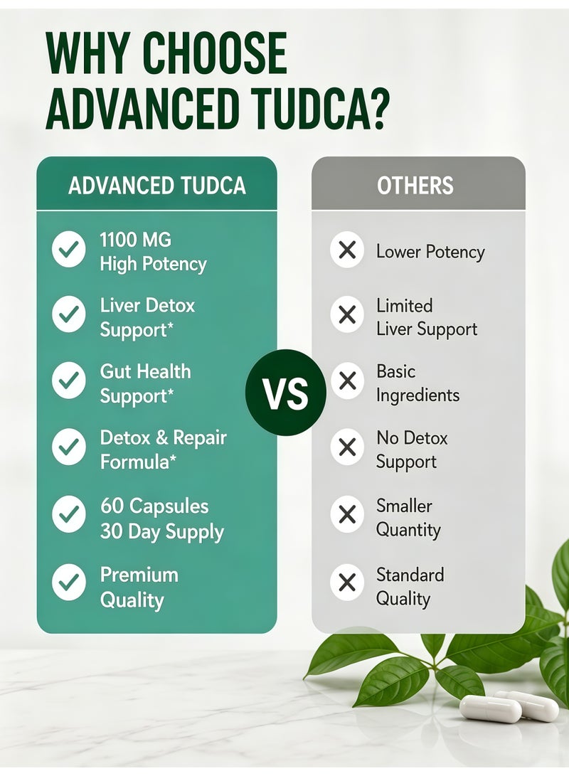 Ocean Advanced TUDCA 1100mg 60 Capsules, Liver Cleansing Capsules 30 Day Supply, Support Liver and Gut Health, Detox and Repair, Dietary Supplement - Image 5