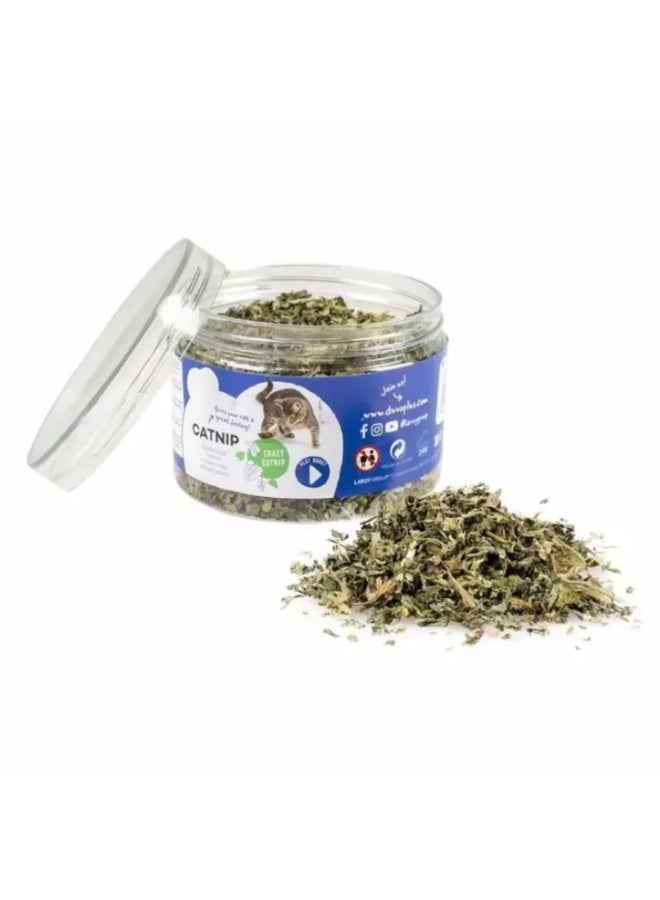 Duvo + Duvo+ Catnip Cat Herb – 30g - Image 1
