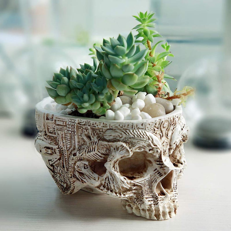ChezMax Skull Planter Suger Holder Resin Flower Succulents Pot Skeleton Flowerpot Candy Bowl Halloween Dish Statue Sculpture Skeleton Indoor Outdoor Decoration