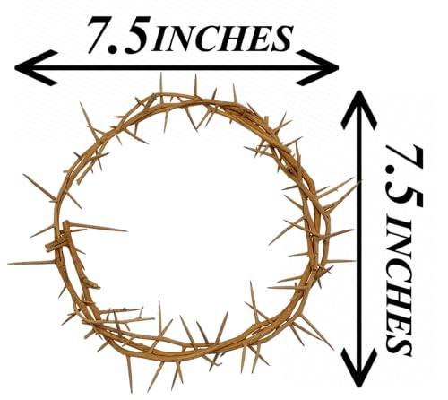Zuluf Jerusalem Authentic Biblical Lifesize Real Crown of Thorns with Box & Zuluf Certificate | Religious Easter Wreath Home Décor Tree Topper | Jesus Christ Wall Decor Christmas Christian Gifts| HLG214 - Image 5