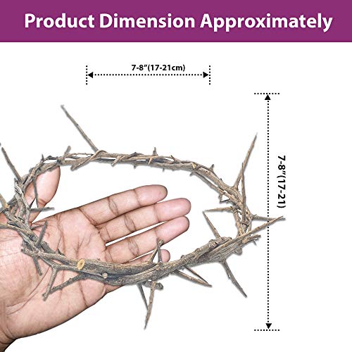 Zuluf Jerusalem Authentic Biblical Lifesize Real Crown of Thorns with Box & Zuluf Certificate | Religious Easter Wreath Home Décor Tree Topper | Jesus Christ Wall Decor Christmas Christian Gifts| HLG214 - Image 2