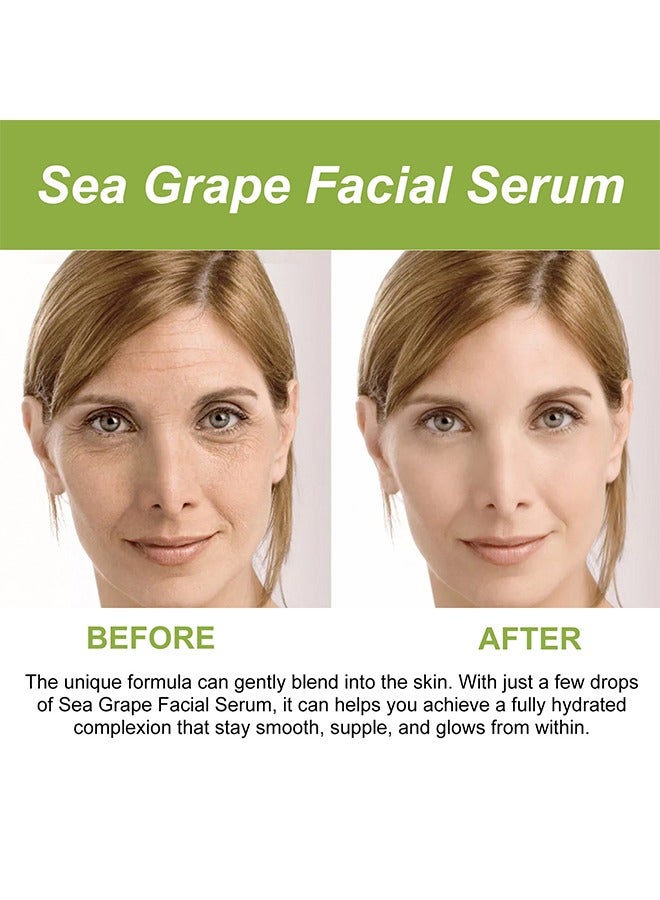 EELHOE Sea Grapes Polypeptide Facial Moisturizing Essence,Hydrating and Moisturizing Anti-Aging Serum – Shrinks Pores, Smooths Skin, Reduces Wrinkles & Fine Lines – Suitable for All Skin Types 35ml - Image 5