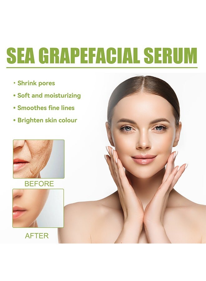 EELHOE Sea Grapes Polypeptide Facial Moisturizing Essence,Hydrating and Moisturizing Anti-Aging Serum – Shrinks Pores, Smooths Skin, Reduces Wrinkles & Fine Lines – Suitable for All Skin Types 35ml - Image 2