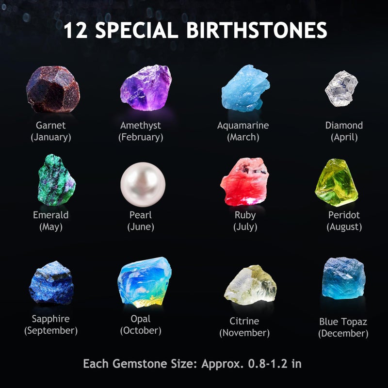 Japace Earth Science Kits for Kids Age 4-6-8-12-14, Birthstone Gemstone Dig Kit, Geology Kit with Break Your Own Geodes, Crystal Growing Experiment, Rock Mining Kit Birthday Gifts Toys for Boys Girls - Image 2