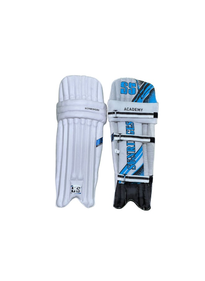 SS SS Academy Batting Pads Leg Guard for Youth Ambidextrous YRH YLH 