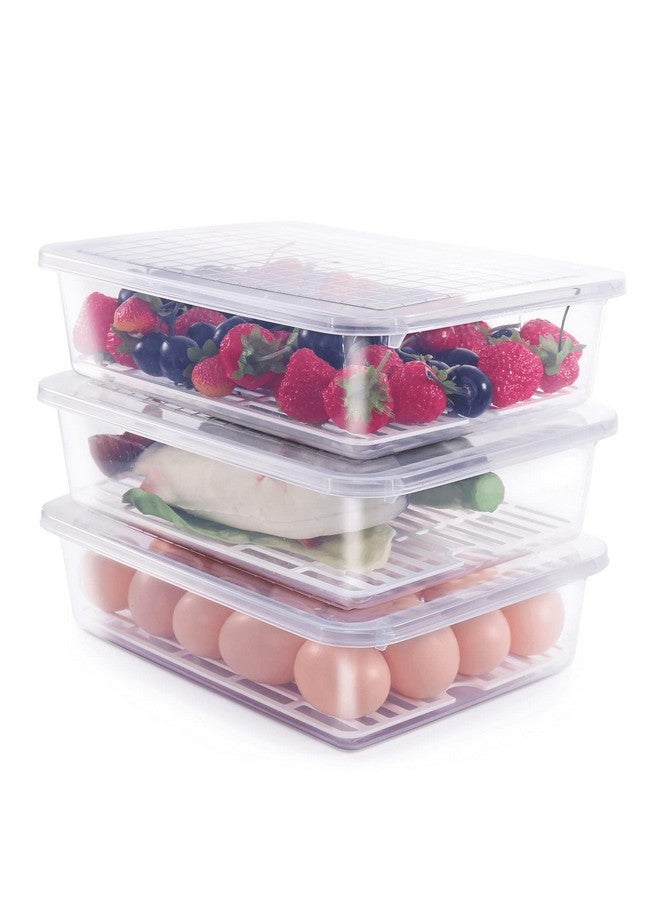 77L Food Storage Container, (3-Pack) Plastic Food Containers with Removable Drain Plate and Lid, Stackable Portable Freezer Storage Containers - Tray to Keep Fruits, Vegetables, Meat and More (Large) - Image 1