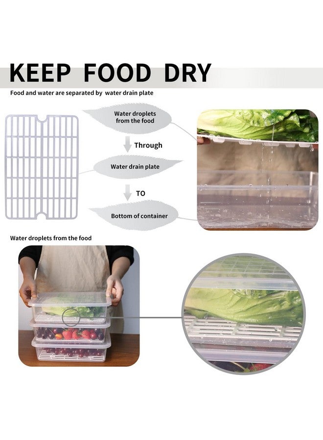 77L Food Storage Container, (3-Pack) Plastic Food Containers with Removable Drain Plate and Lid, Stackable Portable Freezer Storage Containers - Tray to Keep Fruits, Vegetables, Meat and More (Large) - Image 2
